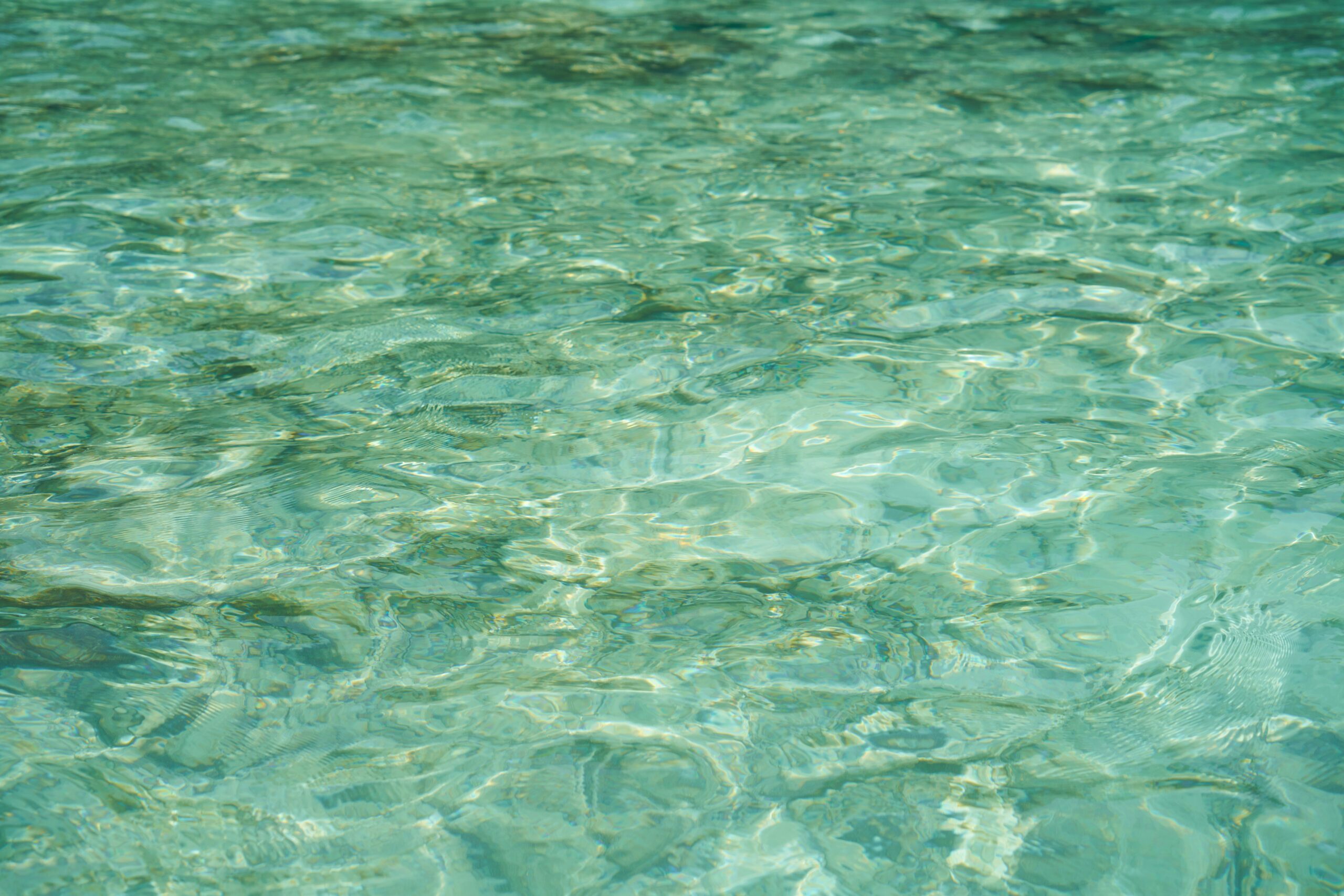 engin-akyurt-92pZmhN41us-unsplash
