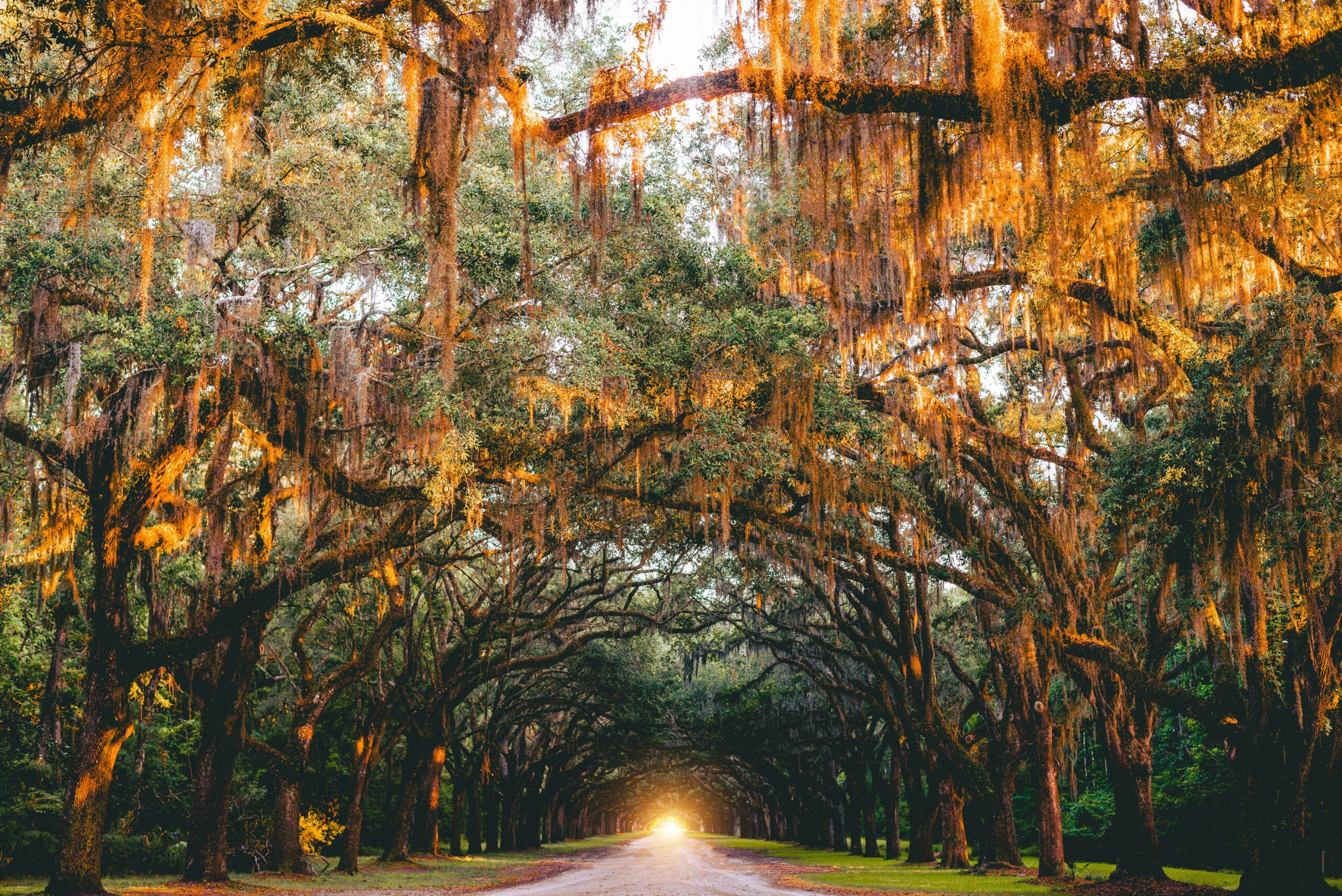 jose-llamas-9h2CRu-lqyw-unsplash