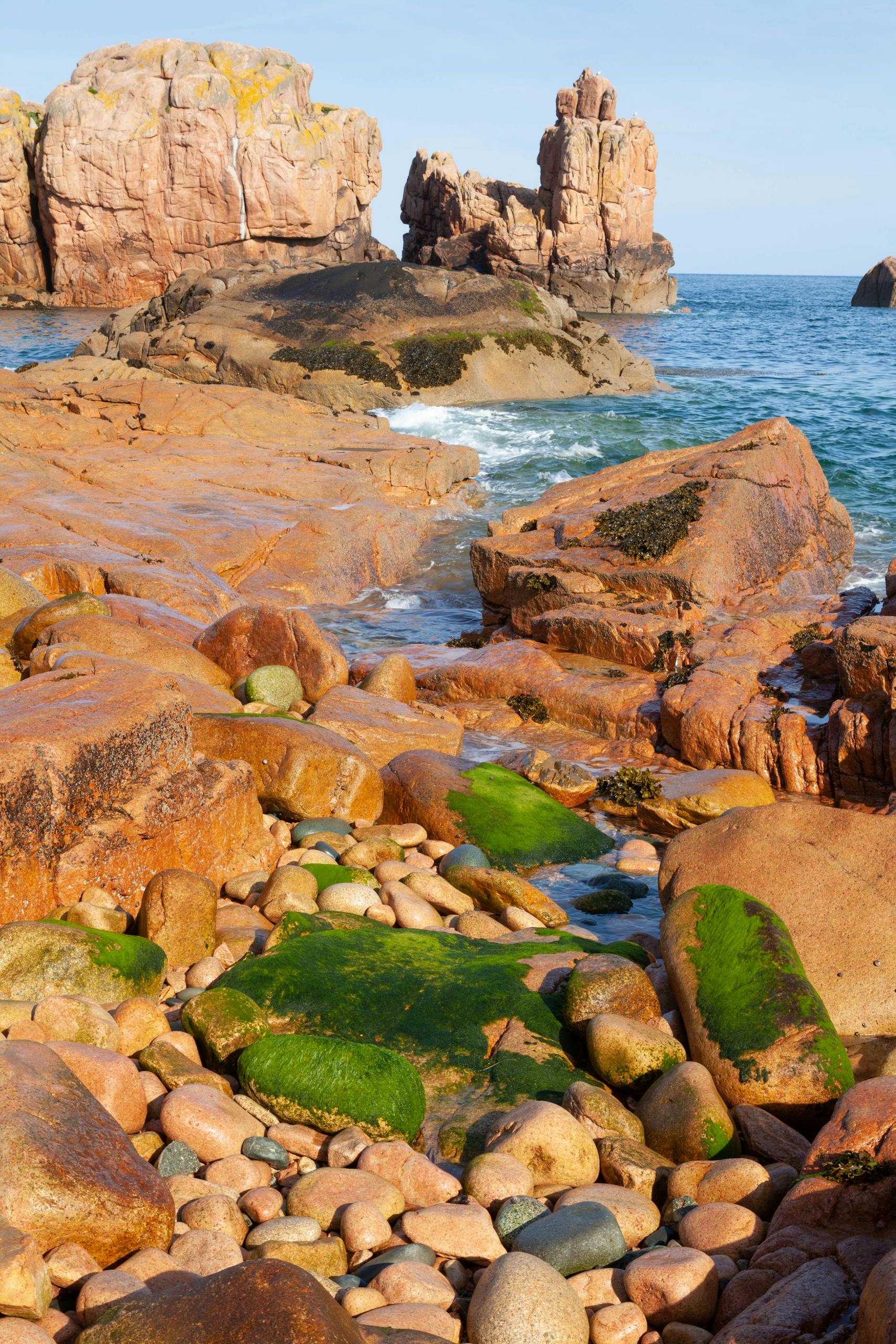 Explore the rugged rocky shoreline of Île-de-Bréhat in Brittany, France with vibrant green algae and blue seas.